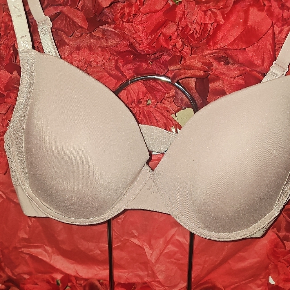 Izod Classic Mauve Women's Bra With Eyelet Lace Detaul Size 38C